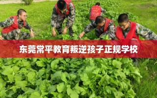 东莞常平教育叛逆孩子正规学校