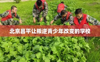 北京昌平让叛逆青少年改变的学校