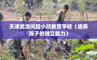 天津武清问题小孩教育学校（培养孩子的独立能力）
