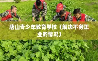唐山青少年教育学校（解决不务正业的情况）