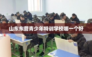 山东东营青少年特训学校哪一个好