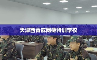 天津西青戒网瘾特训学校