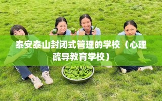 泰安泰山封闭式管理的学校（心理疏导教育学校）