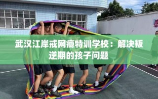 武汉江岸戒网瘾特训学校：解决叛逆期的孩子问题