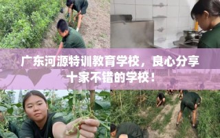 广东河源特训教育学校，良心分享十家不错的学校！