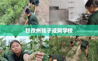 甘孜州孩子戒网学校