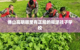 佛山高明哪里有正规的叛逆孩子学校