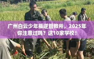 广州白云少年叛逆管教所，2025年你注意过吗？这10家学校！