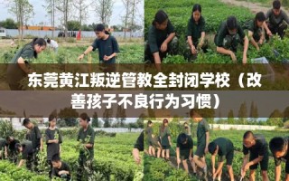 东莞黄江叛逆管教全封闭学校（改善孩子不良行为习惯）