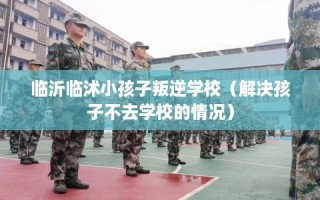 临沂临沭小孩子叛逆学校（解决孩子不去学校的情况）