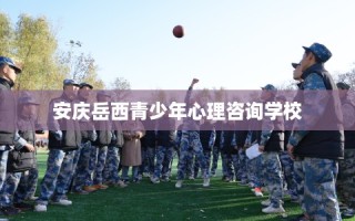 安庆岳西青少年心理咨询学校