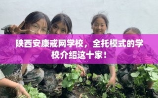 陕西安康戒网学校，全托模式的学校介绍这十家！