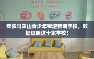 安徽马鞍山青少年叛逆特训学校，数据证明这十家学校！