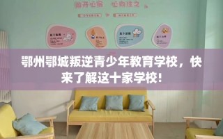 鄂州鄂城叛逆青少年教育学校，快来了解这十家学校!