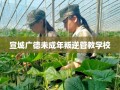 宣城广德未成年叛逆管教学校
