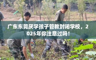 广东东莞厌学孩子管教封闭学校，2025年你注意过吗！