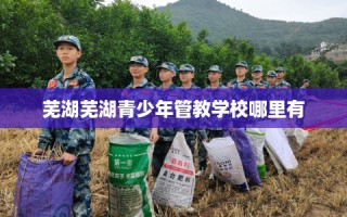 芜湖芜湖青少年管教学校哪里有