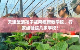 天津武清孩子戒网瘾管教学校，行家经验这几家学校！