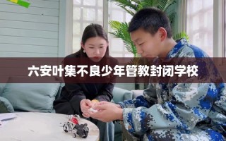 六安叶集不良少年管教封闭学校