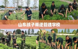 山东孩子叛逆管理学校