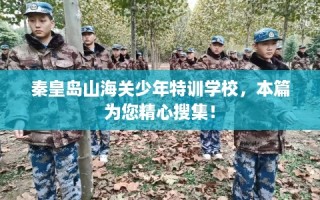 秦皇岛山海关少年特训学校，本篇为您精心搜集！