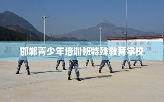 邯郸青少年培训班特殊教育学校