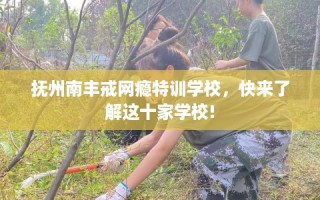 抚州南丰戒网瘾特训学校，快来了解这十家学校!