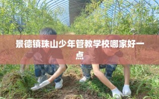景德镇珠山少年管教学校哪家好一点