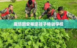 廊坊固安叛逆孩子特训学校