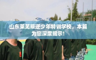 山东莱芜叛逆少年特训学校，本篇为您深度揭示!
