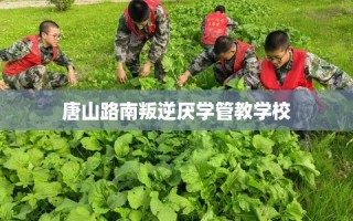 唐山路南叛逆厌学管教学校