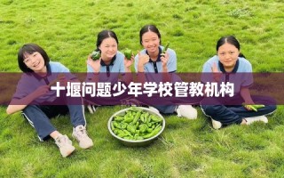 十堰问题少年学校管教机构