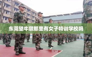 东莞望牛墩那里有女子特训学校吗