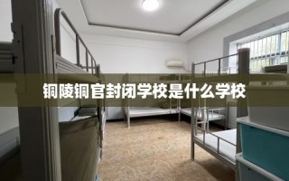 铜陵铜官封闭学校是什么学校