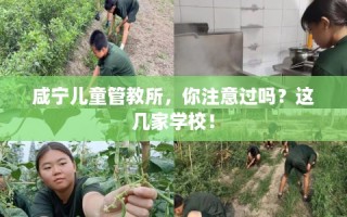 咸宁儿童管教所，你注意过吗？这几家学校！