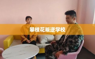 攀枝花叛逆学校