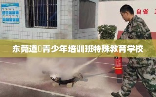 东莞道滘青少年培训班特殊教育学校
