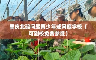 重庆北碚问题青少年戒网瘾学校（可到校免费参观）