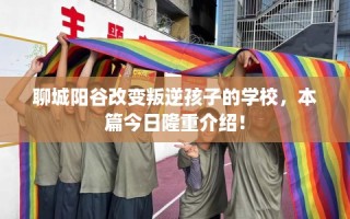 聊城阳谷改变叛逆孩子的学校，本篇今日隆重介绍！