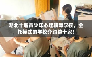 湖北十堰青少年心理辅导学校，全托模式的学校介绍这十家！