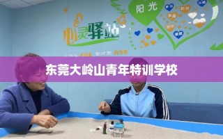 东莞大岭山青年特训学校