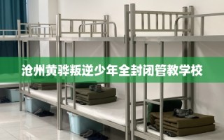 沧州黄骅叛逆少年全封闭管教学校