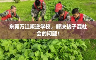 东莞万江叛逆学校，解决孩子混社会的问题！