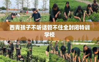 西青孩子不听话管不住全封闭特训学校