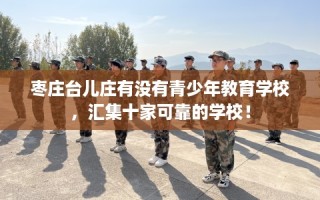 枣庄台儿庄有没有青少年教育学校，汇集十家可靠的学校！