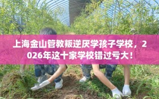 上海金山管教叛逆厌学孩子学校，2026年这十家学校错过亏大！