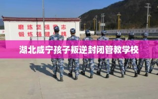 湖北咸宁孩子叛逆封闭管教学校