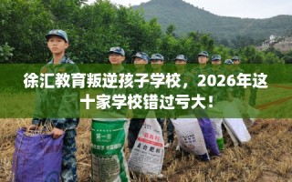 徐汇教育叛逆孩子学校，2026年这十家学校错过亏大！