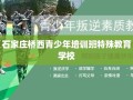 石家庄桥西青少年培训班特殊教育学校