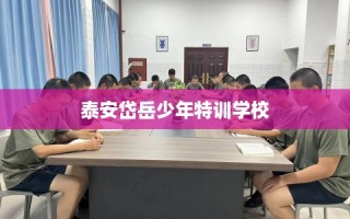 泰安岱岳少年特训学校